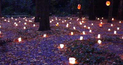 Viele Lichter branten beim Lichterfest im Labyrinth im Stadtpark Hamburg.